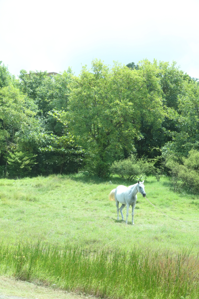 2016 09 13 HTP 0546